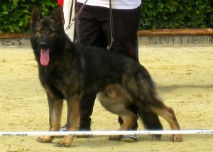 Post image for Theo