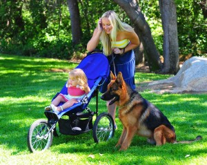 social Family outing to the park with a well-trained German Shepherd Dog